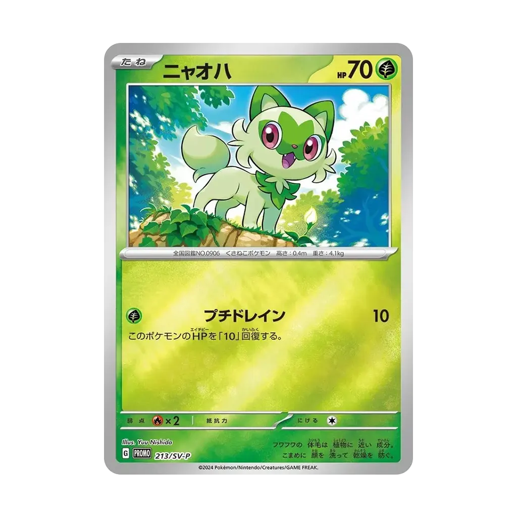 Pokémon Summer 2024 Promo Card