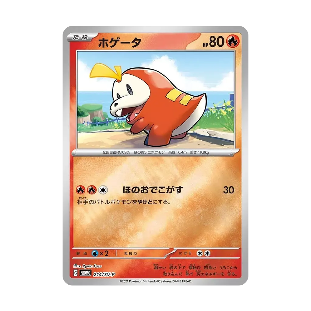 Pokémon Summer 2024 Promo Card