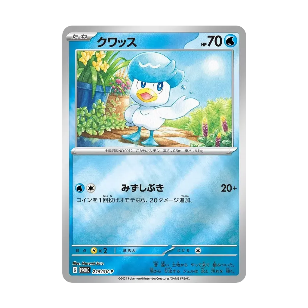 Pokémon Summer 2024 Promo Card
