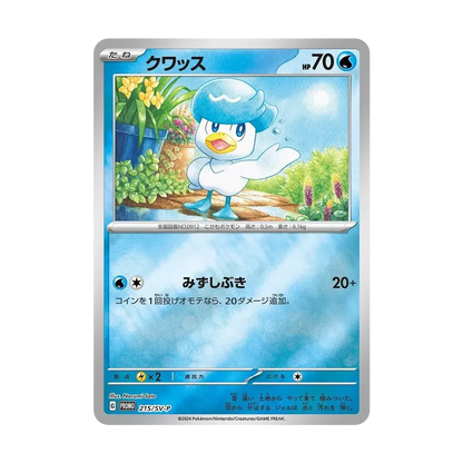 Pokémon Summer 2024 Promo Card